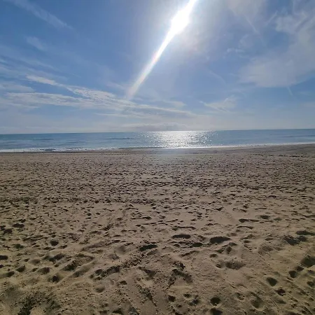 Beachside In Calahonda Lejlighed Marbella