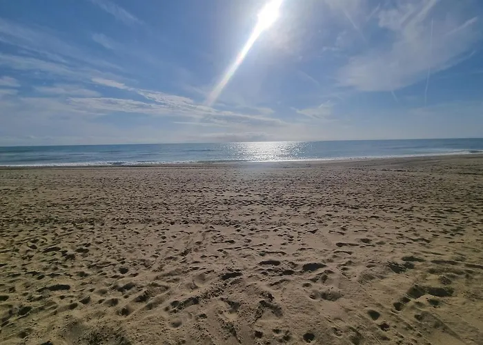 Beachside In Calahonda Apartment Marbella
